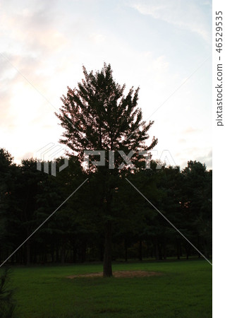 一條長廊 46529535