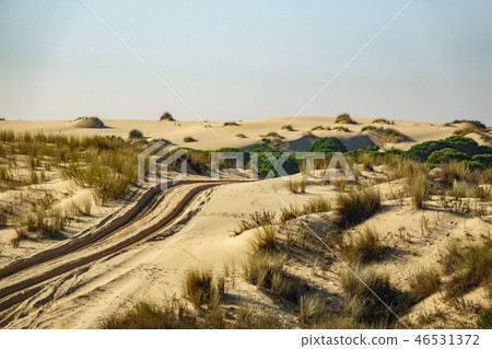 Wheel marks in the sand of the desert 46531372