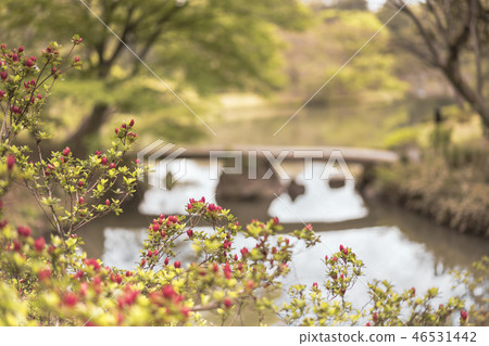 The Togetsu Bridge across the Oizumi Water taken from the pass that passes in front of the Ayabe Tea House ruins of Rikugien Garden built in Tokugawa Tsuneyoshi in Komagome in the 18th century. 46531442