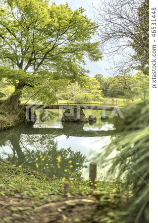 The Togetsu Bridge across the Oizumi Water taken from the pass that passes in front of the Ayabe Tea House ruins of Rikugien Garden built in Tokugawa Tsuneyoshi in Komagome in the 18th century. 46531448