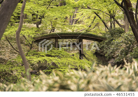橫跨Sak河流的Yamakage大橋取自Rikugien的杜鵑花茶屋,於18世紀在Komagome的Tokugawa Tsuneyoshi建造。 橫跨Sak河流的Yamakage大橋取自Rikugien的杜鵑花茶屋,於18世紀在Komagome的Tokugawa Tsuneyoshi建造。 46531455