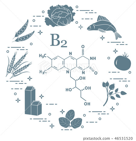Foods rich in vitamin B2 Fish, peas and other. Foods rich in vitamin B2 Fish, peas and other. 46531520