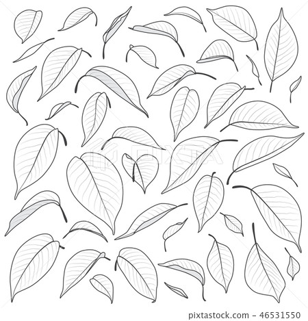 Black and White Leaves Set 46531550