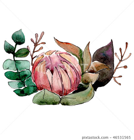 Red flower. Isolated flower illustration element. Background set. Watercolour drawing aquarelle Red flower. Isolated flower illustration element. Background set. Watercolour drawing aquarelle 46531565
