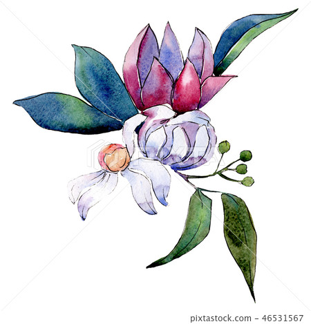 White and red flowers. Isolated flower illustration element. Background set. Watercolour drawing White and red flowers. Isolated flower illustration element. Background set. Watercolour drawing 46531567