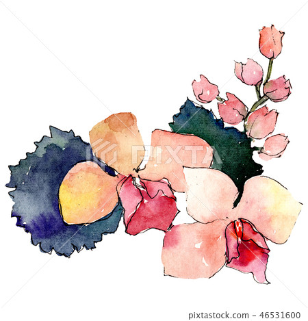 Orange orchid flowers with green leaves. Isolated bouquet illustration element. Watercolor Orange orchid flowers with green leaves. Isolated bouquet illustration element. Watercolor 46531600