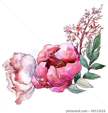 Pink peony flowers with green leaves. Isolated... - Stock Illustration ...