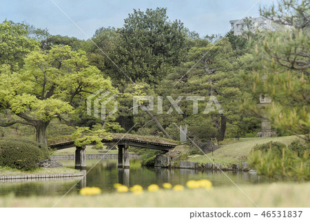 連接山的中部的木Tasurubashi和巨大的石燈籠風景在Oizumi水的反射中間在Rikugi en庭院裡。 連接山的中部的木Tasurubashi和巨大的石燈籠風景在Oizumi水的反射中間在Rikugi en庭院裡。 46531837