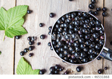 black currant berries 46531868
