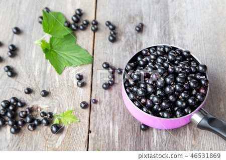 black currant crop 46531869