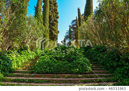 Staircase covered with ivy and sculpture Staircase covered with ivy and sculpture 46531963