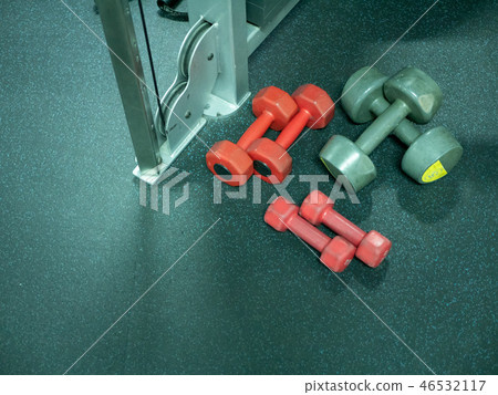 tree pair of small dumbbells at fitness gym 46532117
