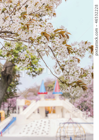 Somei Yoshino在Asukayama公園覆蓋兒童遊樂場設備，在那裡您可以享受在Oji City，Mt。附近的Hanami。 46532228