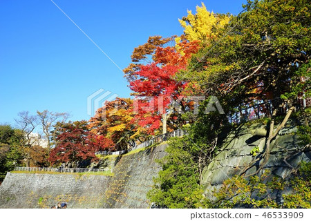 盛岡城堡的秋天破壞公園 46533909