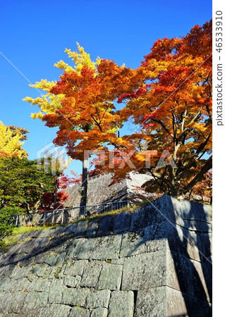 盛岡城堡的秋天破壞公園 46533910