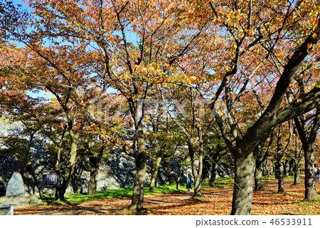 盛岡城堡的秋天破壞公園 46533911