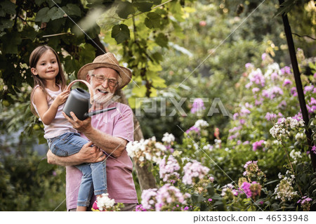 Grandfather and graddaughter taking care of flower bed 46533948