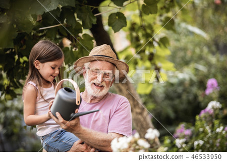 Little girl helping her grandpa watering plants Little girl helping her grandpa watering plants 46533950