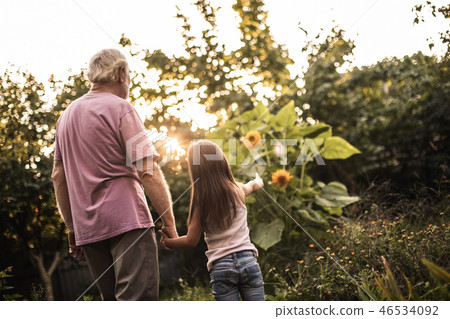 Granddad and granddaughter walking in botanical garden Granddad and granddaughter walking in botanical garden 46534092