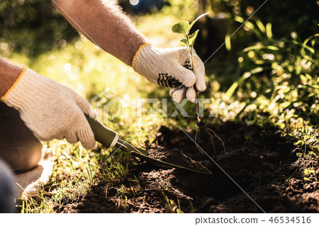 Working man during farming in his backyard Working man during farming in his backyard 46534516