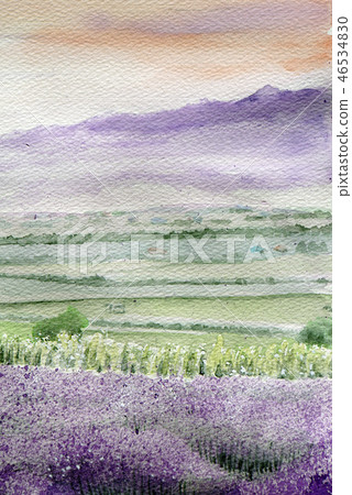 夏季風景插畫，富良野薰衣草山水彩畫 46534830