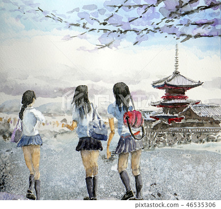 在清水寺享受學校旅行的高中女生的團體行為 在清水寺享受學校旅行的高中女生的團體行為 46535306