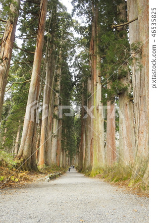 The way to Togakushi Shrine Okusha The way to Togakushi Shrine Okusha 46535825