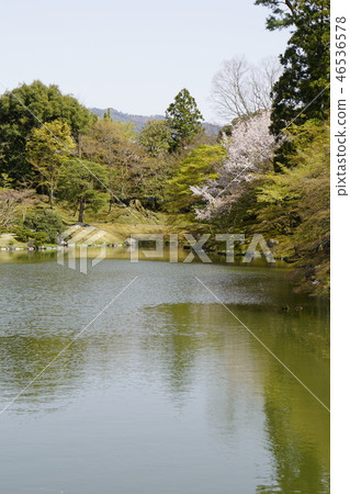 京都皇宮Sendong皇宮日本花園櫻花春天京都觀光 京都皇宮Sendong皇宮日本花園櫻花春天京都觀光 46536578