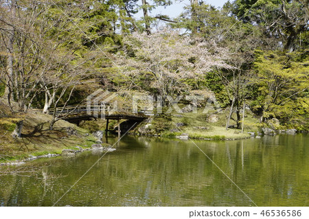 京都皇宮Sendong皇宮日本花園櫻花春天京都觀光 46536586