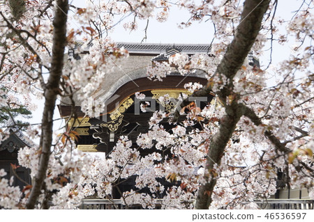 京都皇宮Sendong皇宮日本花園櫻花春天京都觀光 46536597