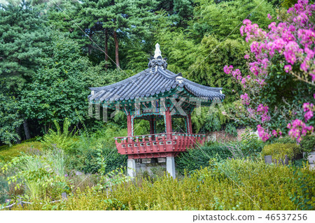 錄音中的休息點 錄音中的休息點 46537256