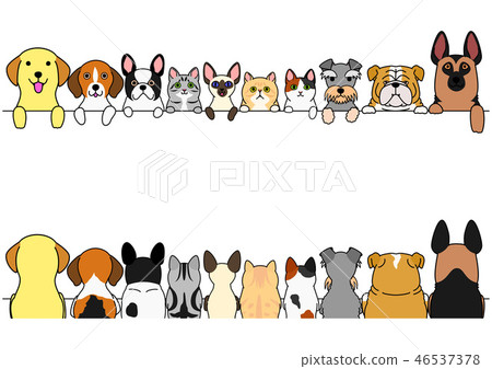 Before and after the border between dogs and cats 46537378