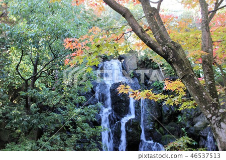 Autumn leaves 46537513