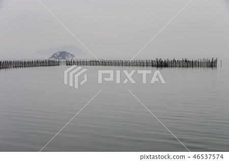 琵琶湖湖下午以北 46537574