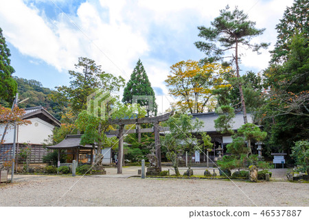 Urawa Shrine 46537887