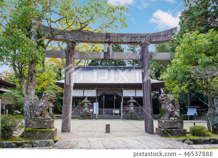 Urashima Shrine Torii Urashima Shrine Torii 46537888