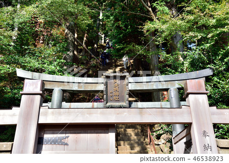 Torii of the back shrine of Oyama Atori Shrine 46538923