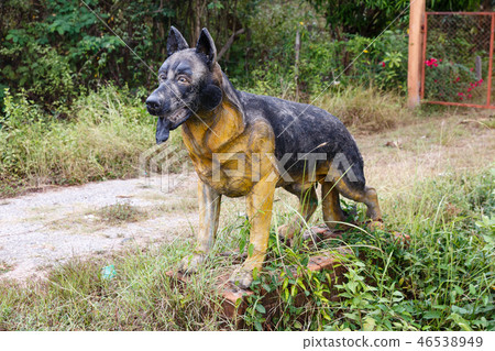 german shepherd dog german shepherd dog 46538949