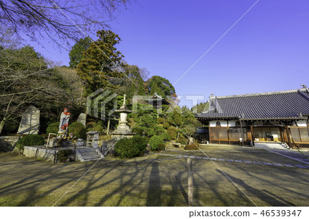 Yorima Ryujo-in 46539347