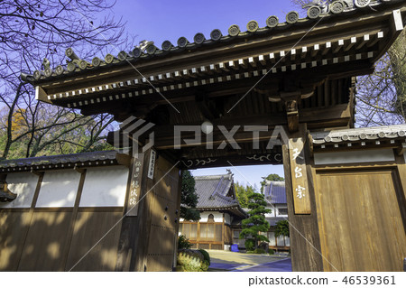 Yorima Ryujo-in 46539361