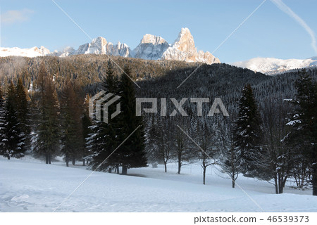 Winter Scene, the Dolomites, Italy Winter Scene, the Dolomites, Italy 46539373