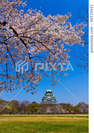 Osaka Castle in spring 46539441