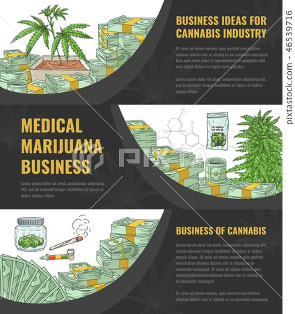 Vector illustration set of business idea for marijuana industry horizontal banners. 46539716