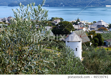 [Shodojima Island]“橄欖發源地”（海邊）附近的景觀 46539741