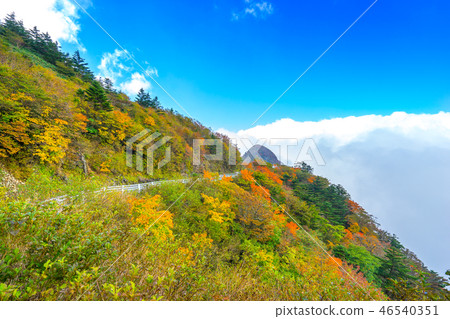 四國“天空之路” UFO線染成秋色的景色（愛媛縣西城市）*在作品註釋欄中的拍攝位置 46540351