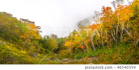 Shikoku "Road of the Sky" UFO line dyed in autumn colors (Saijo City, Ehime Prefecture) * Shooting position in the comment section of the work Shikoku "Road of the Sky" UFO line dyed in autumn colors (Saijo City, Ehime Prefecture) * Shooting position in the comment section of the work 46540354