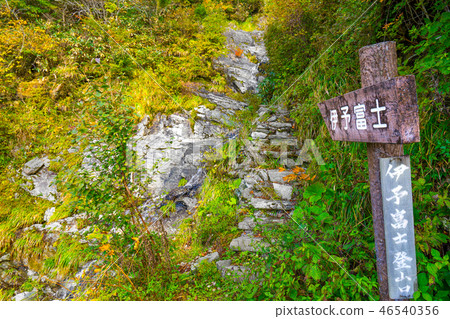 Shikoku "Road of the Sky" Iyofuji Trailhead (Saijo City, Ehime Prefecture) *Shooting position in the comment section of the work 46540356