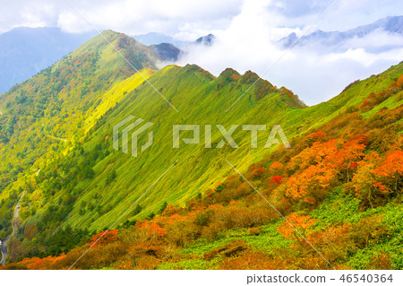 From the Higashi Kuromori-Iyo Fuji traverse, see the Higashi Kuromori summit area! (Saijo City, Ehime Prefecture) * Shooting position in the comment section of the work 46540364