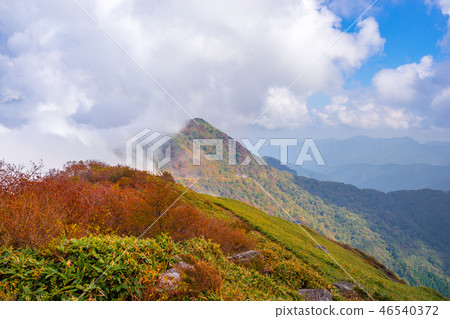 View Higashi Kuromori/Iyo Fuji area from your own mind! (Saijo City, Ehime Prefecture) * Shooting position in the comment section of the work View Higashi Kuromori/Iyo Fuji area from your own mind! (Saijo City, Ehime Prefecture) * Shooting position in the comment section of the work 46540372