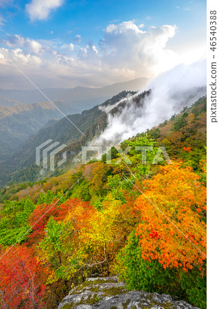 Scenery from the UFO line (Saijo City, Ehime Prefecture) dyed in the "Tenku Road" autumn leaves (Photo taken in the work comment column) Scenery from the UFO line (Saijo City, Ehime Prefecture) dyed in the "Tenku Road" autumn leaves (Photo taken in the work comment column) 46540388